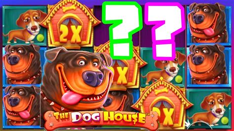 dog house slot big win